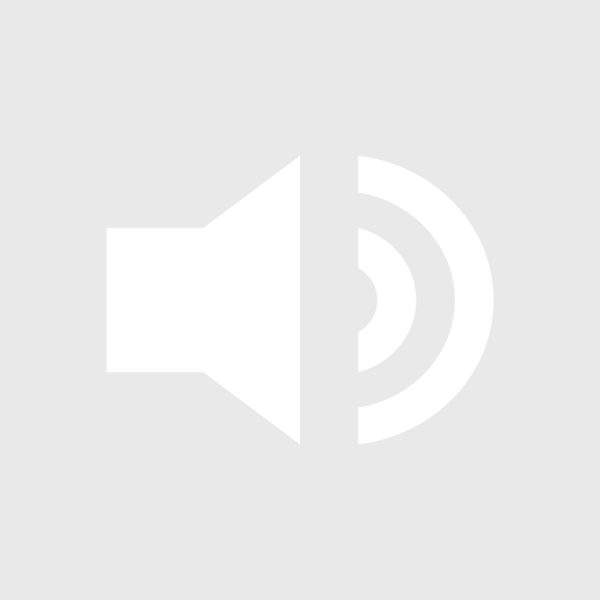 Datei:2022-08-31 Booking Action 01.png