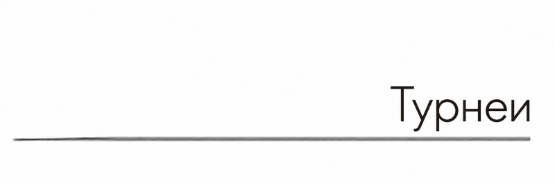 Datei:Kachel-tours-mz.png